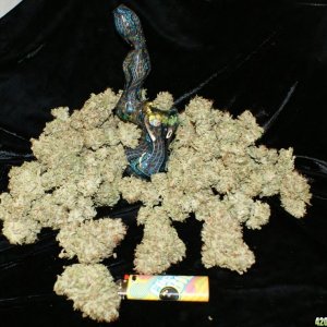 pineapple_nugs