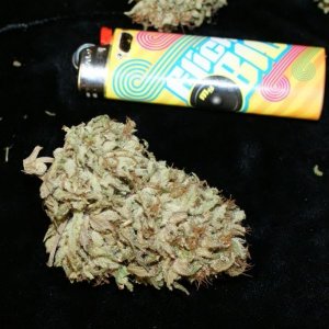 pineapple_nugs0