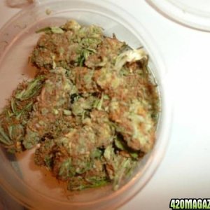 nuggets, buds, weed