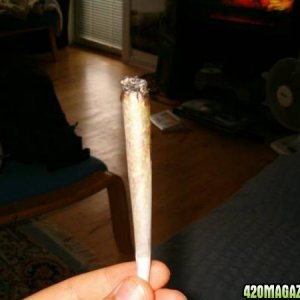 silver haze joint