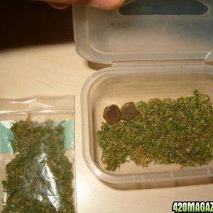 weed and hash