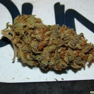 Bananna Kush