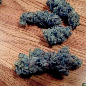 GG7's Blue Cheese