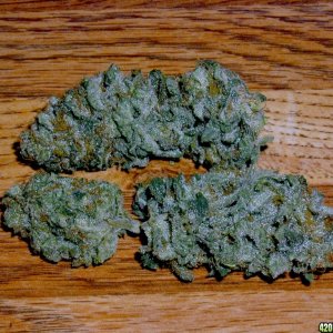 GG7's Blue Cheese