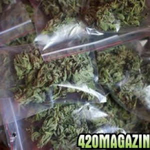 rsz_pot_bags