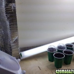 Grow Box