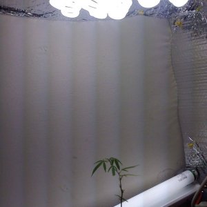 Grow Box