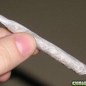 Joint