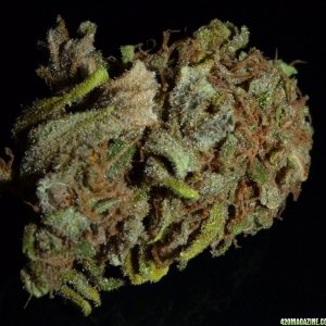 PowerKush