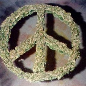 peace_weed