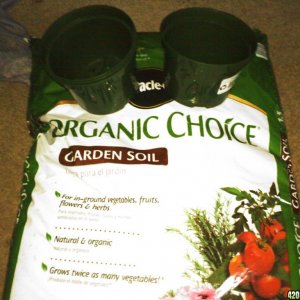 Organic Miracle Grow