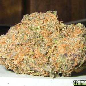 Grand_Daddy_Purple_Nugget