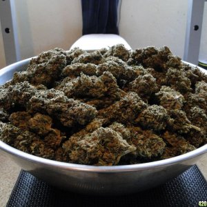 Bowl_of_Casey_Jones