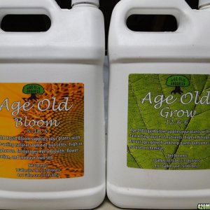 Old_Age_Grow_Bloom