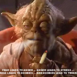 Words of the great Yoda