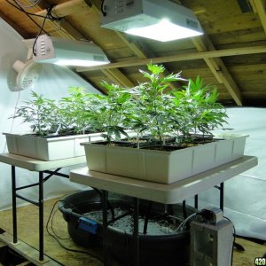 Temp_Hydro_Veg_Room