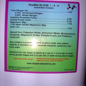 BlueMax Bloom (back)