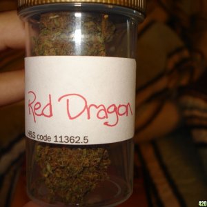 "RED DRAGON"