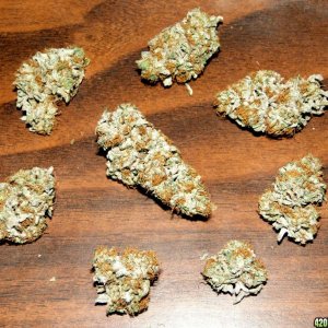 Bubba_Kush_Buds