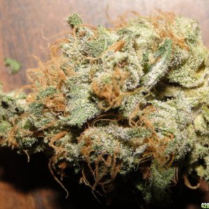 Dried_Organic_Green_Crack