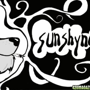 sunshyne