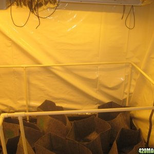 New Grow Room