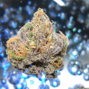 PurpleBud