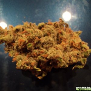 SPEED_DRY_NUG