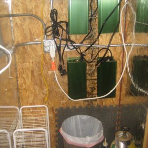 Grow room setup