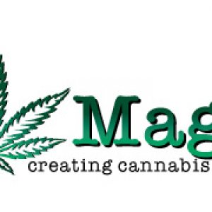 420_logo_Idea_1