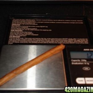 1 Gram blunt