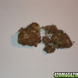 Some of the piff I got, not the best pic