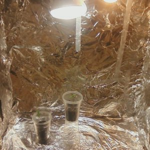 Home Made Grow Space