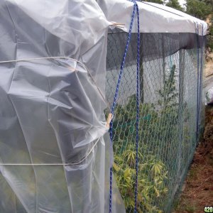 Screened Growhouse covered in plastic