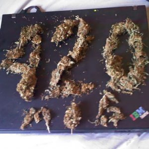 420 mag photo