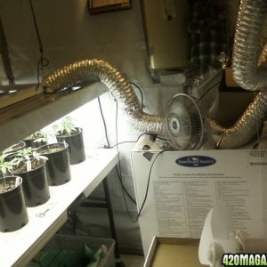 growroom14