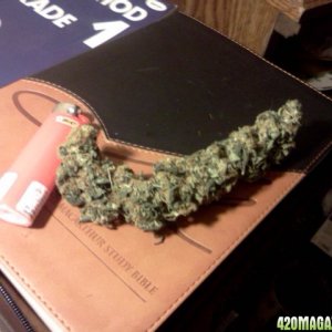 Nike Nug