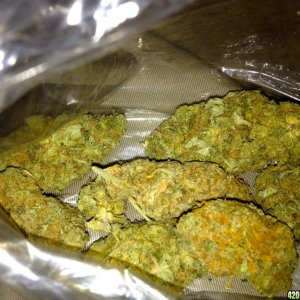 More Kush (Travel Pack)