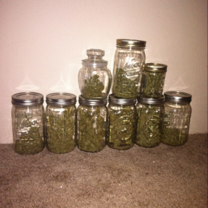 First harvest jars