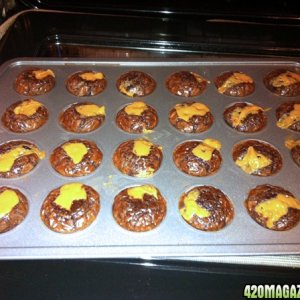 hash oil cupcakes