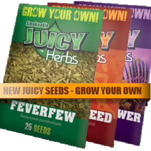 rawseeds2