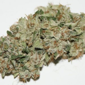 cataract_kush_005