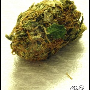 Unknown Chronic