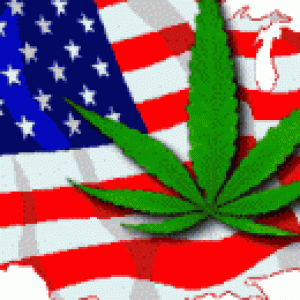 1305835433-us-medical-marijuana-laws-281x130