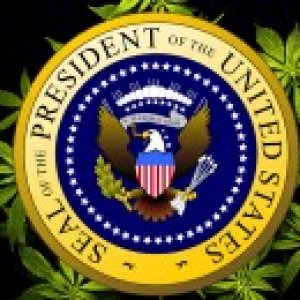 Marijuana-President-281x130