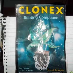 Clonex Rooting Compound