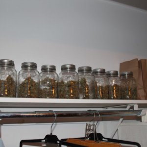 jars