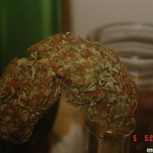 nug_of_the_month