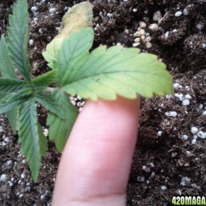 Deficiency?