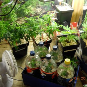 veg room